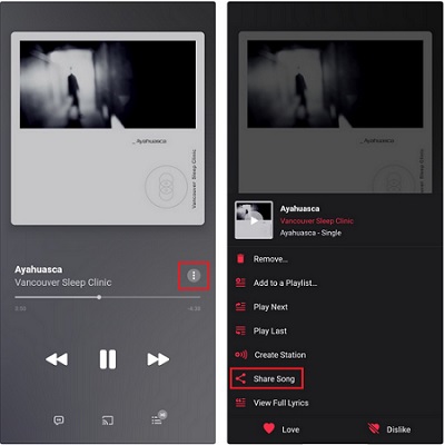share apple music to instagram story