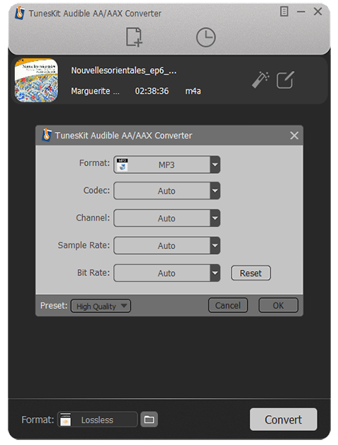 set audiobook output formats as mp3