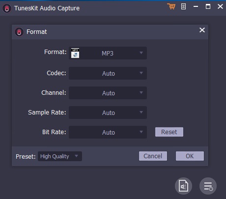 set audio parameters for youtube music