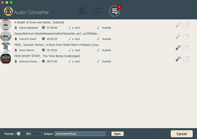 convert drm apple music