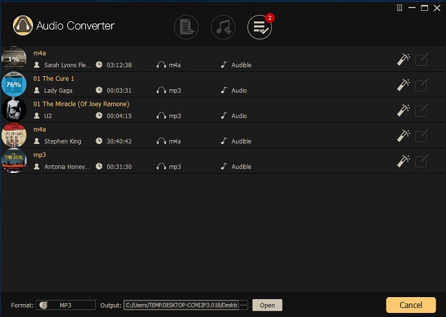 ViWizard itunes music converter 