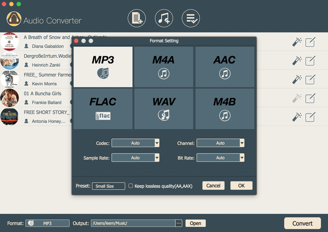 set audiobook output formats as mp3