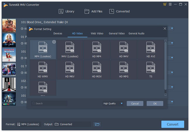 choose mp4 output format