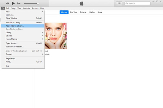 add file or folder to iTunes