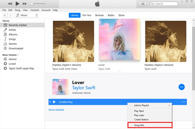 add lyrics to song in iTunes