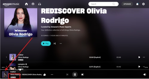 amazon music mini cover