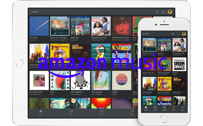 amazon music to plex