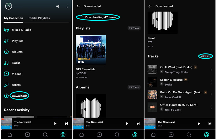 android find tidal downloads