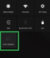 android mirror roku