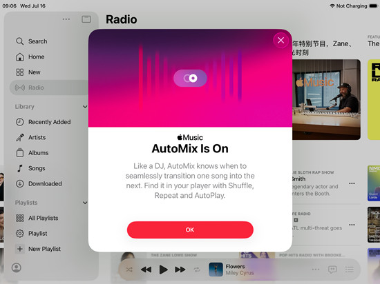 apple music automix is on