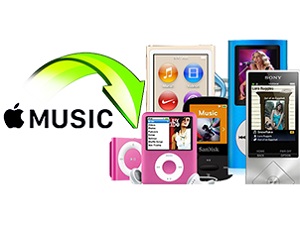 add apple music to ipod