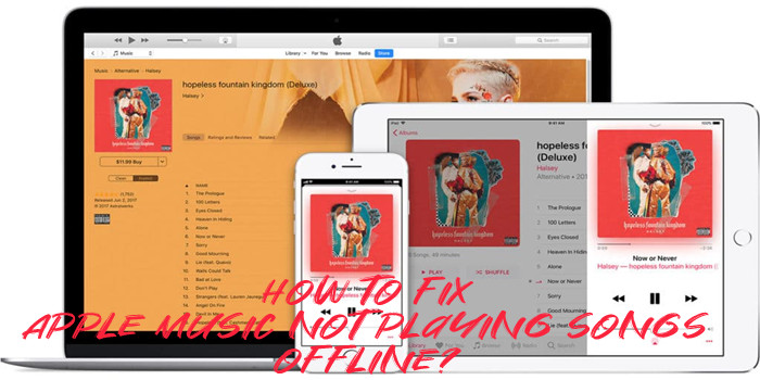 how to fix Apple Music not playing songs offline