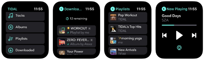 Tidal music apple watch new arrivals