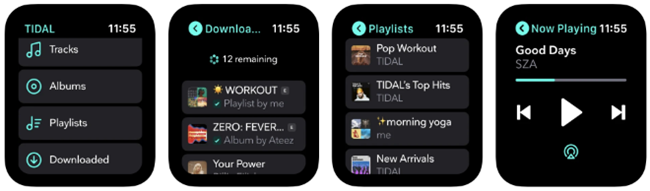 apple watch tidal app