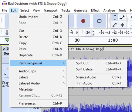 audacity remove special