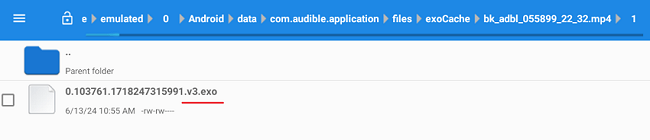 audible files on android phone