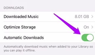 enable automatic downloads