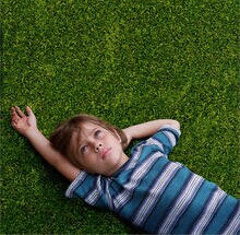 boyhood