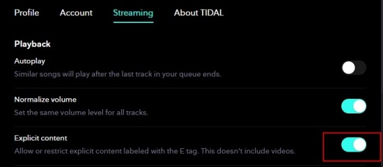 clean tidal music desktop