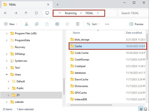 clear tidal cache on pc within file explorer