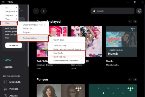clear tidal cache on pc within tidal app
