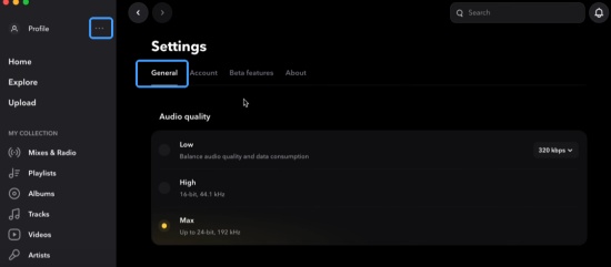 click tidal general option to playback