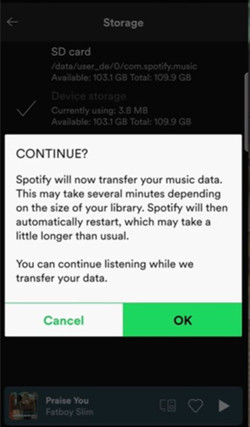 continue to transfer Spotify to SD card