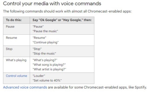 control tidal playback on google home with voice commands