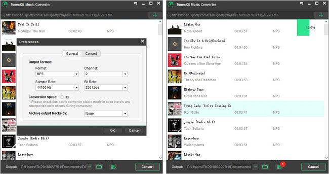 ViWizard spotify music downloader