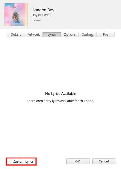 custome lyrics in iTunes