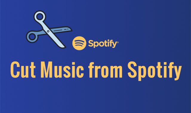 How to Import Spotify Music to CapCut