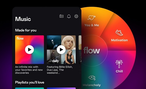 deezer flow feature