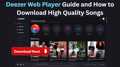 deezer web player guide