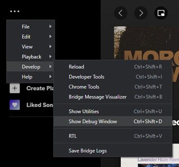 devtools spotify show debug window
