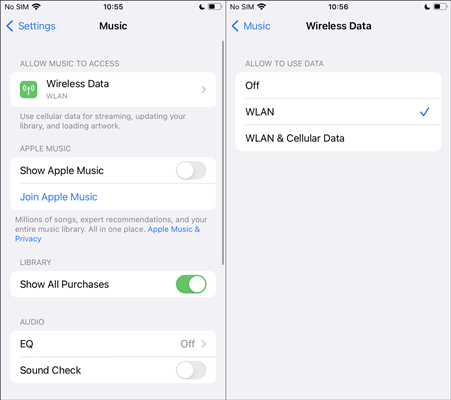 disable apple music to use data