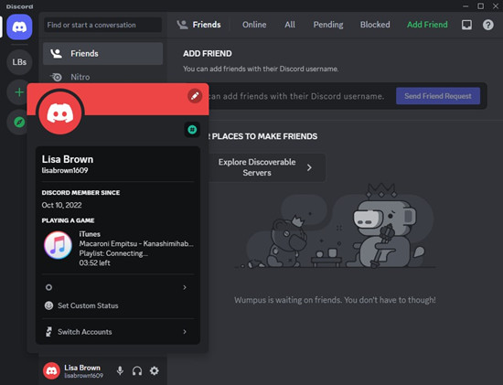 discord profile display itunes music