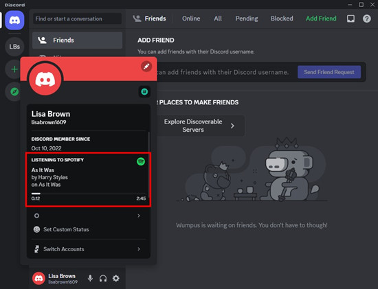 discord profile listening to spotify local files