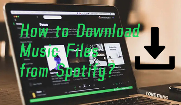 download music files from spotify