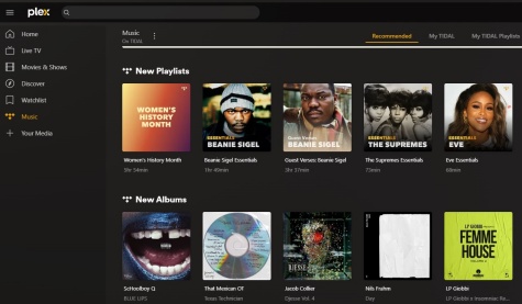 download plex music web player