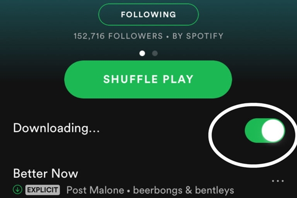 can you download music from spotify to your phone can you download music from spotify to your phone