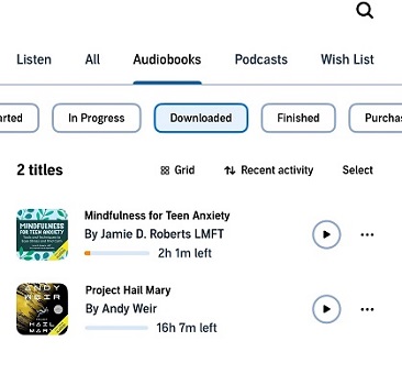 downloaded audible titles on iphone