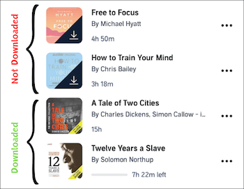 downloaded audible titles
