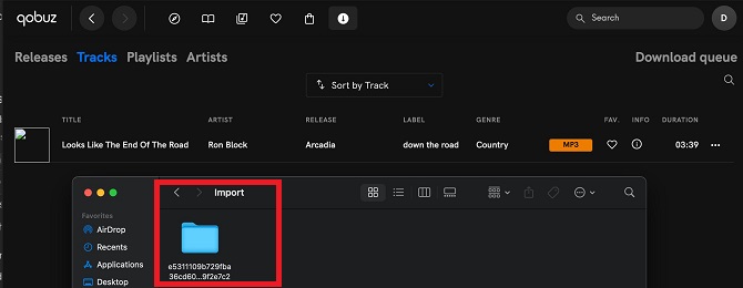 downloaded qobuz cached file