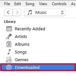 downloaded section in iTunes