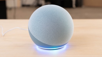 echo display