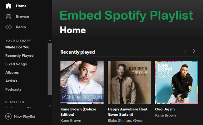 embed Spotify playlist
