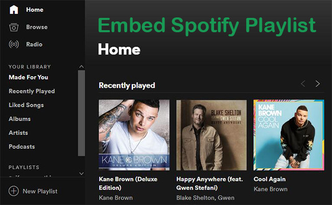 embed spotify playlist