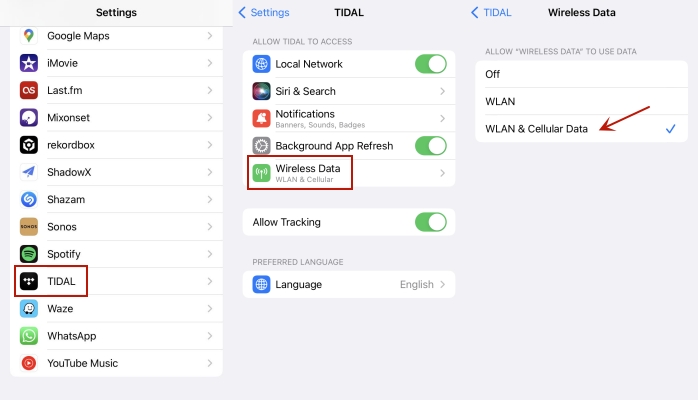 enable wireless data on iphone