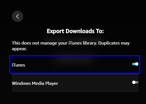 export downloads to itunes