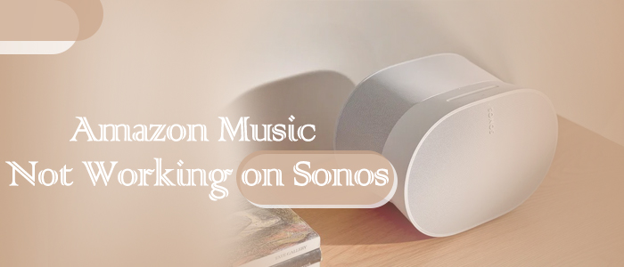 fix amazon music not working on sonos